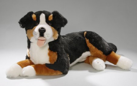 Berner Sennenhund liegend ca. 42 cm