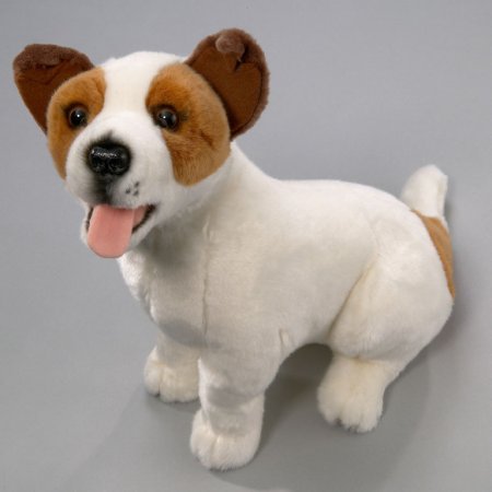 Jack Russel sitzend ca. 40 cm