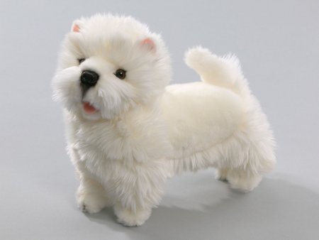 West Highland Terrier stehend ca. 32 cm