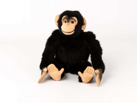 Kösener - Schimpanse