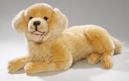 Golden Retriever liegend ca. 42 cm