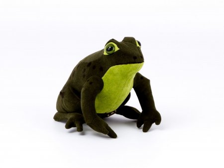 Kösener- Frosch Heinrich