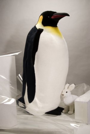 Kösener Pinguin 133cm