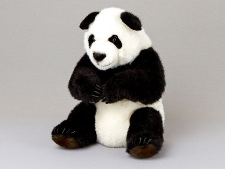 Kösener- PANDA 