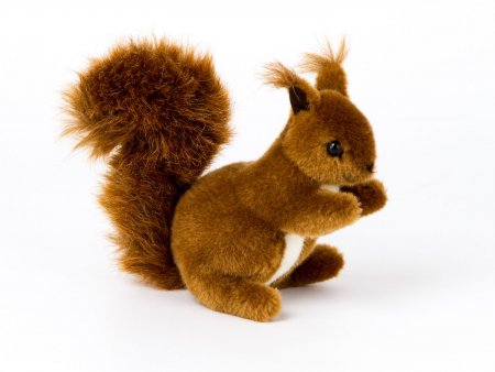 Kösener- Eichhörnchen- klein