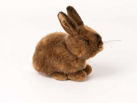 Kösener- Kleines Kaninchen- Purzel