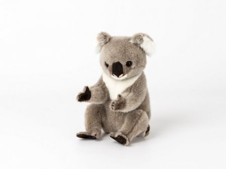 Kösener- Koala