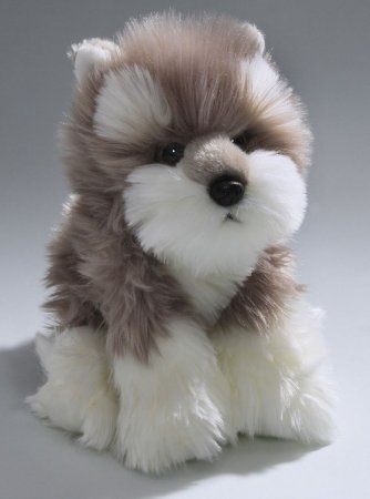 Schnauzer Welpe ca. 22 cm