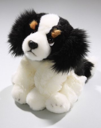 Cavalier King Charles Spaniel sitzend ca. 22 cm