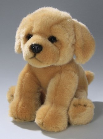 Golden Retriever Welpe sitzend ca. 22 cm