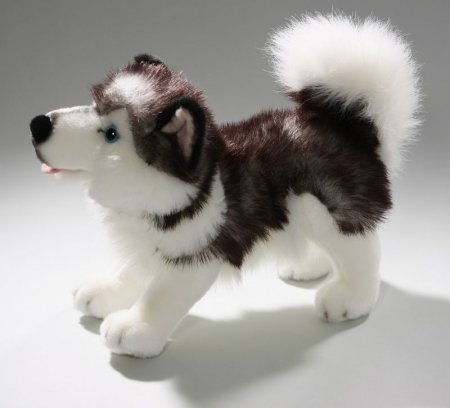 Plüsch-Husky stehend