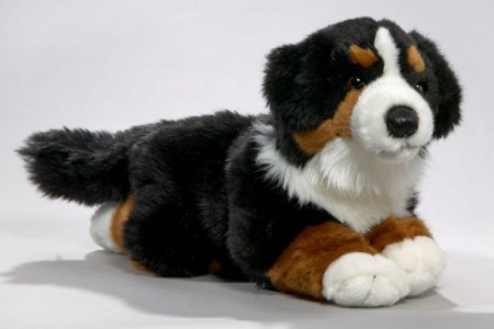 Berner Sennenhund liegend 30 cm