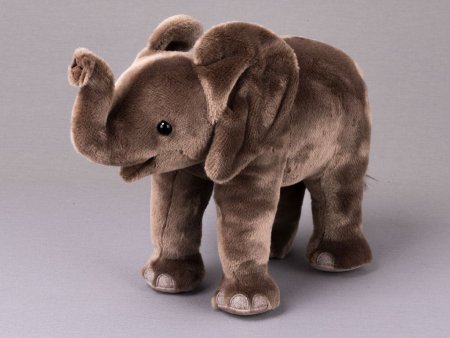 Kösener-Elefantenbaby Tembo stehend