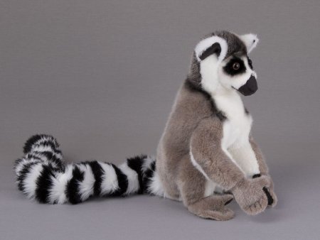 Kösener- LEMUR/KATTA  Luis