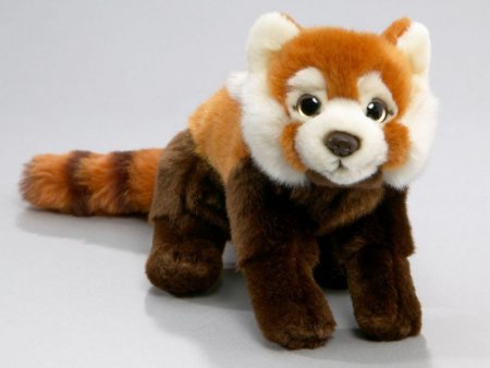 Katzenbär, Roter Panda ca. 22 cm, 37 cm mit Schwanz