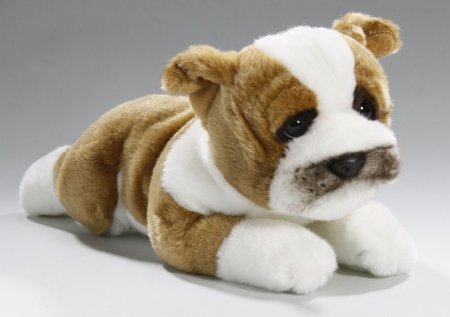 Bulldogge liegend ca. 25 cm