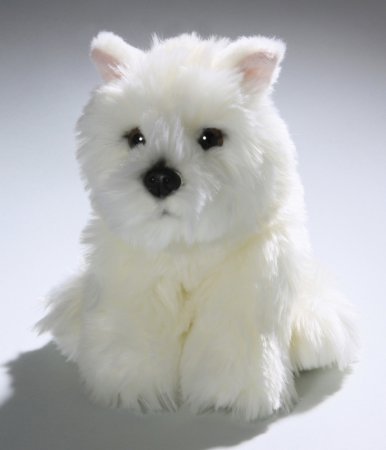 Westie Highland Terrier Welpe ca. 22 cm