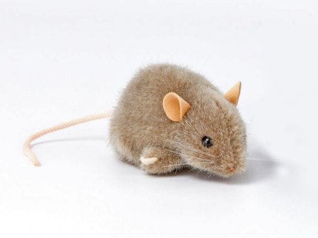 Kösener-Maus Pops. grau 10 cm