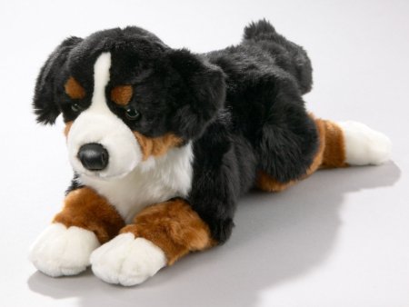 Plüsch Berner Sennenhund liegendca. 40 cm