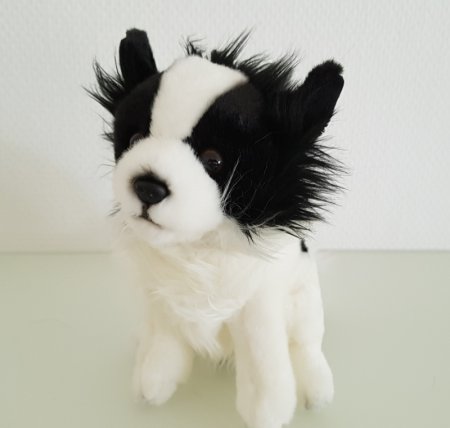 Chihuahua sitzend schwarz-weiss ca. 20 cm