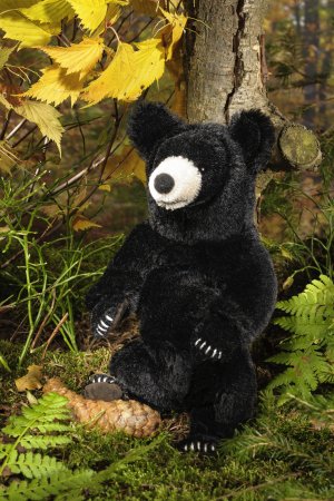 Kösener-Schwarzbär, klein, limitiert