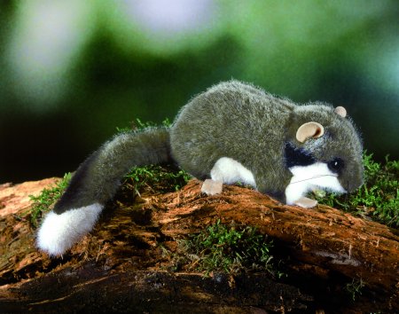 Kösener-Gartenschläfer 