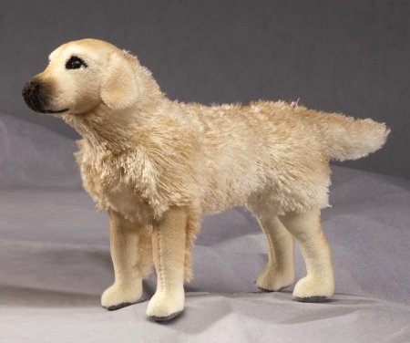 Kösener-Golden Retriever (Minitier)