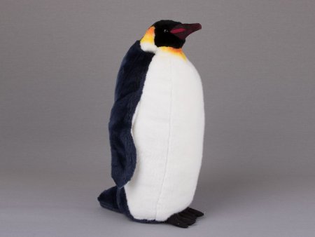 Kösener-Kaiserpinguin