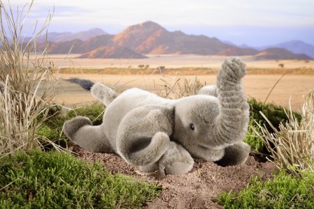 Kösener-Elefant, klein, liegend