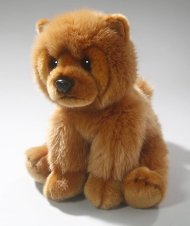 Chow-Chow 25 cm