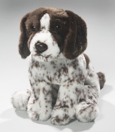 English Pointer, ca.24 cm