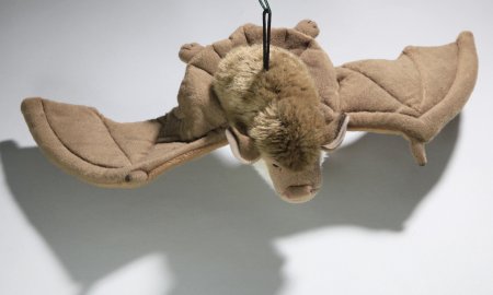Plüsch-Fledermaus mit Anhänger ca. 19 cm lang, 40 cm Spannweite