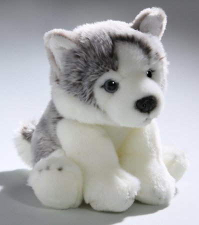 Husky Welpe sitzend ca. 22 cm