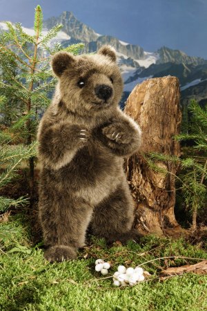 Kösener-Bär, stehend aufrecht