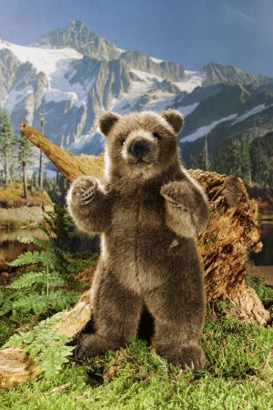 Kösener-Bär, stehend aufrecht