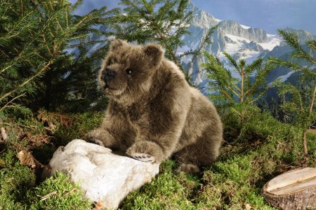 Kösener-Bär, stehend, auf vier Pfoten