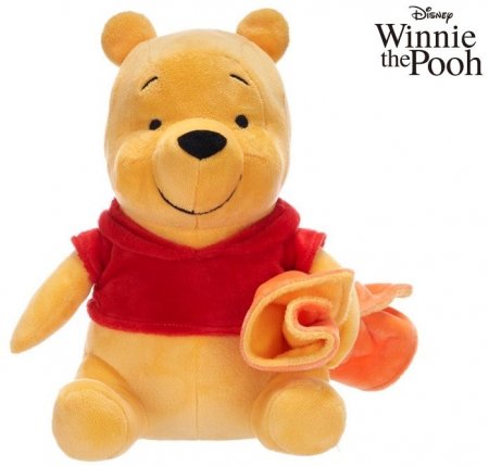 Disney Winnie the Pooh Plüsch + Kuscheldecke