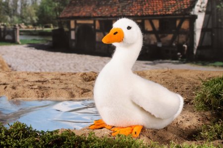 Kösener-Ente, klein