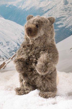 Kösener-Grizzly, klein