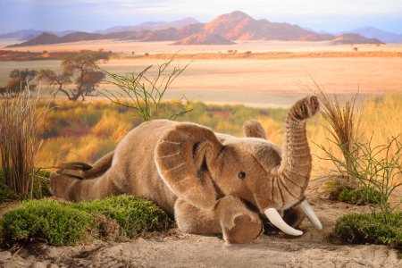 Kösener-Elefant, liegend