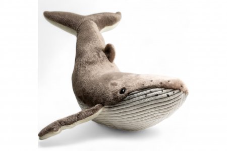 Plüsch Buckelwal