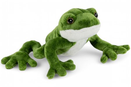 Plüsch- Frosch