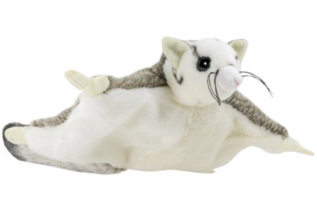 Olüsch Flughörnchen, Gleithörnchen