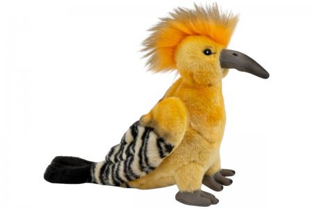 Plüsch-Wiedehopf Vogel