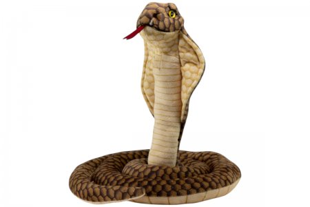 Plüsch-Schlange, Kobra