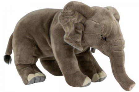 Plüsch-Elefant, Afrikanischer Elefant