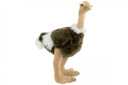 Plüsch-Strauß