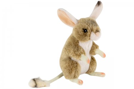 Plüsch-Wüsten-Springmaus