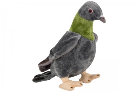 Plüsch-Taube, Stadt-Taube