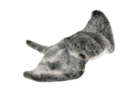 Plüsch-Rochen, Stachelrochen